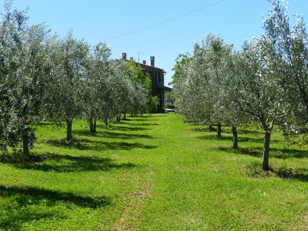 Agriturismo Le Sorgenti Pitigliano Exterior foto